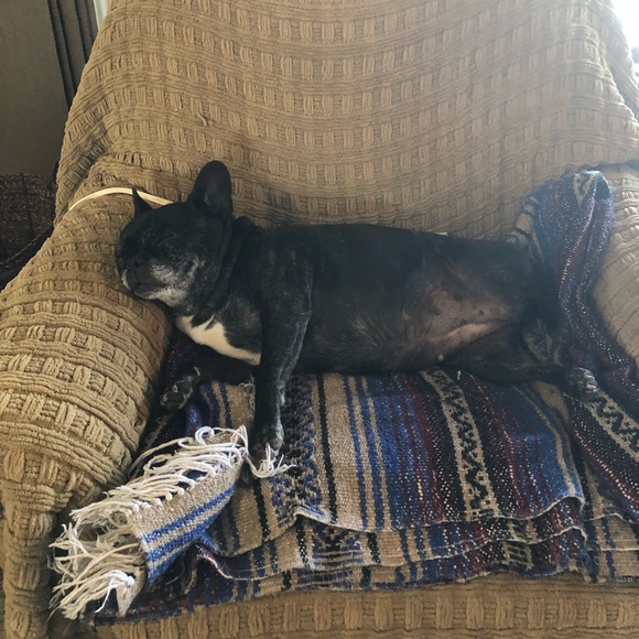 Meet your Posher, Maryann - Picture 1 of 1